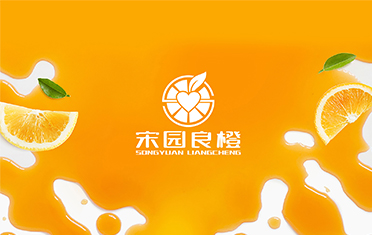 某良橙——雅安LOGO设计