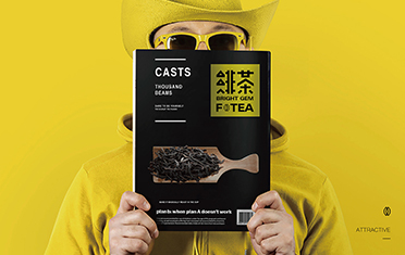 雅安绯茶品牌设计